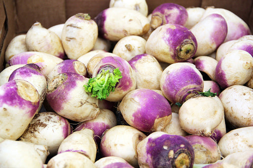 Turnip Purple Top Main image