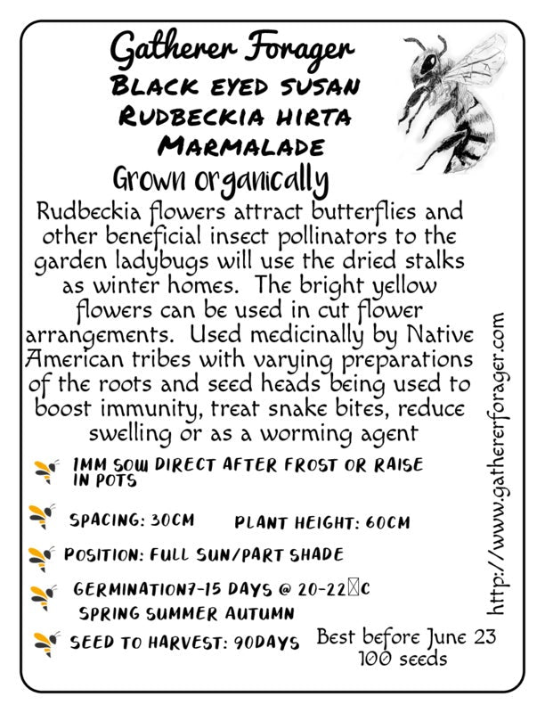 Rudbeckia flower seeds tasmania 