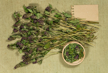 Dried prunella vulgaris