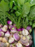 Swede purple top 