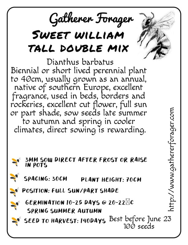 Sweet william tall double mix