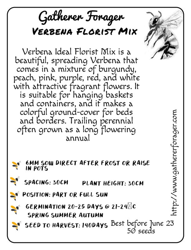 Verbena florist mix seeds 
