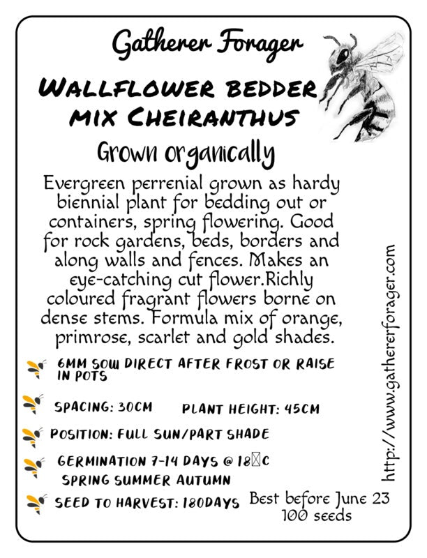 Wallflower bedder seeds Australia 